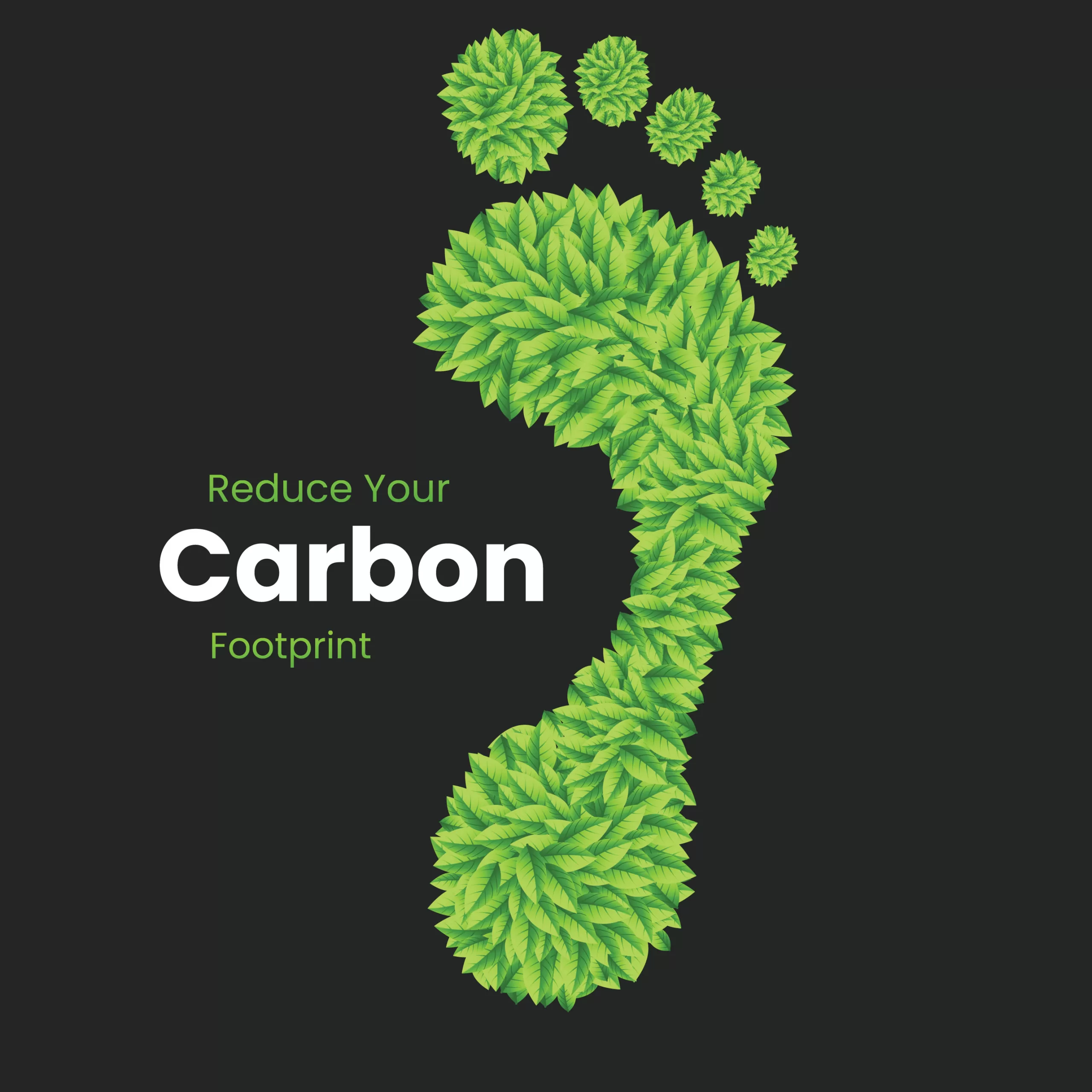 Lower Carbon Footprint at Home